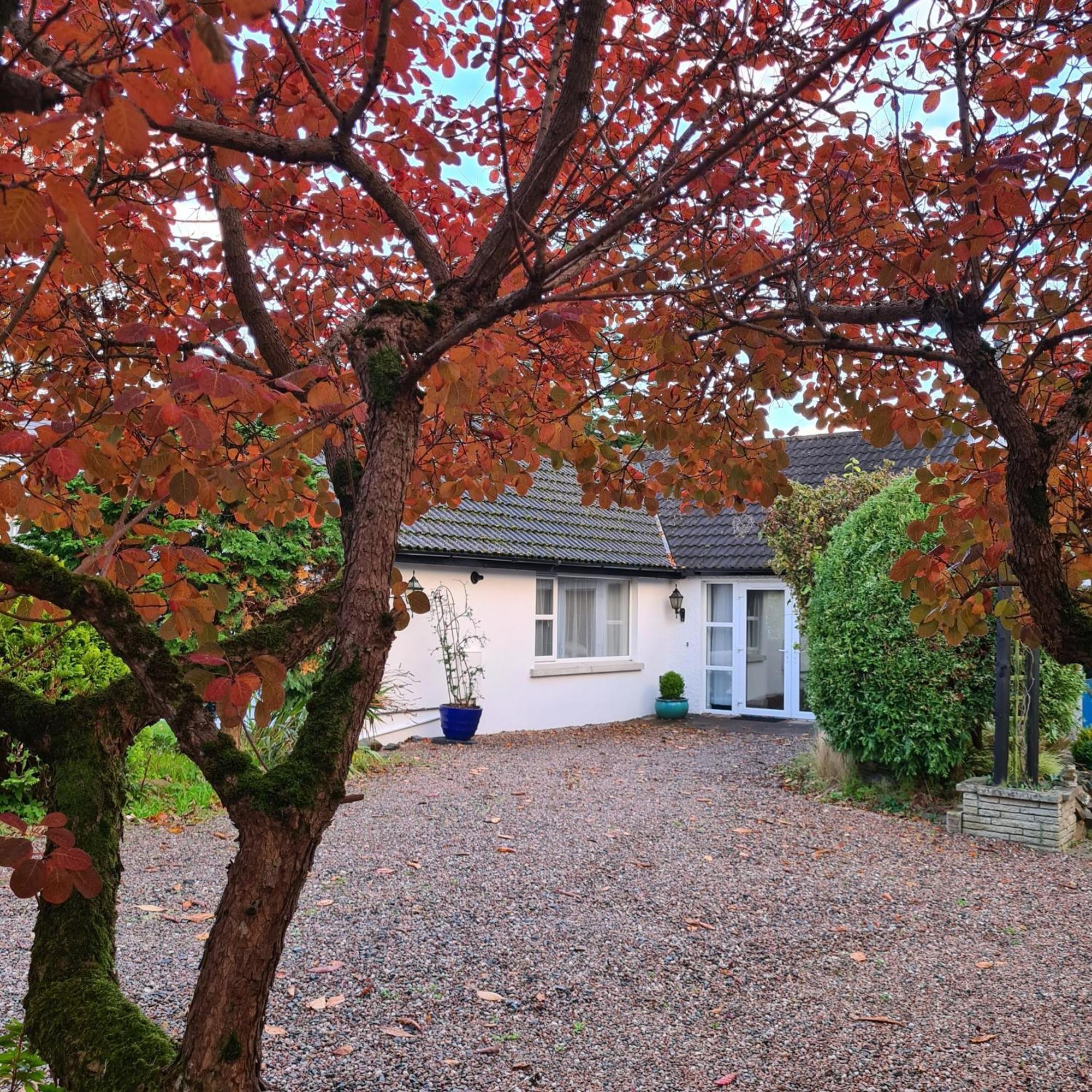 Nara Seaside Retreat Διαμέρισμα Cultra Εξωτερικό φωτογραφία